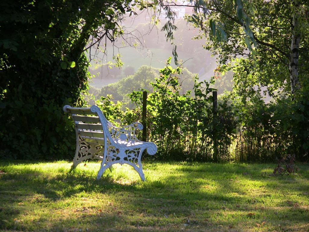 B&B Aux Beaux Buis Blegny Bagian luar foto